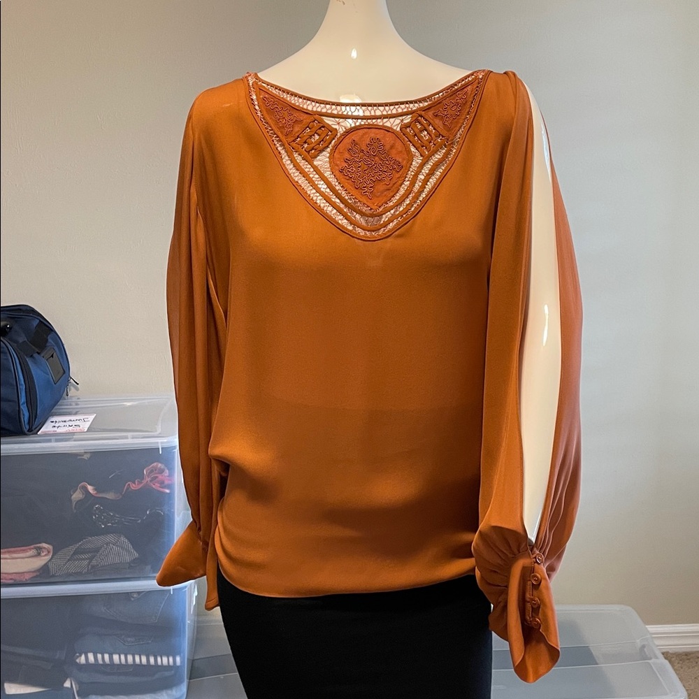 Haute Hippie Bronze Silk Chiffon Top Dolmam Sleeves Deep Embellished V-Neck M EC - Picture 9 of 15